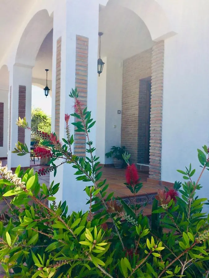 B&B Villa Pinos Malaga Alhaurín de la Torre 0*,